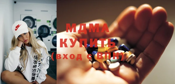 индика Алексин