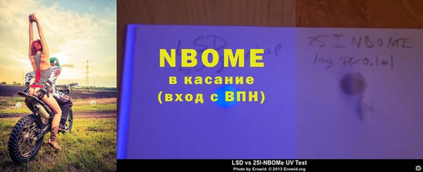 прущий лед Алзамай