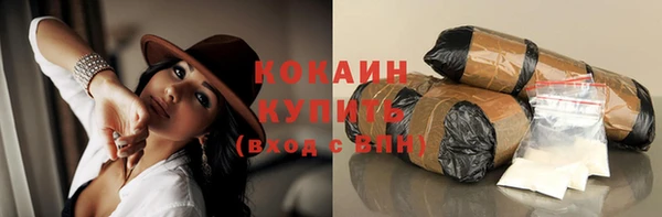 прущий лед Алзамай