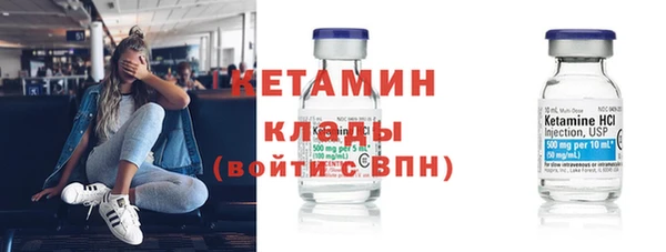 индика Алексин