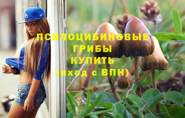 индика Алексин