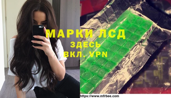 прущий лед Алзамай