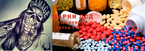 индика Алексин