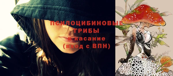 прущий лед Алзамай